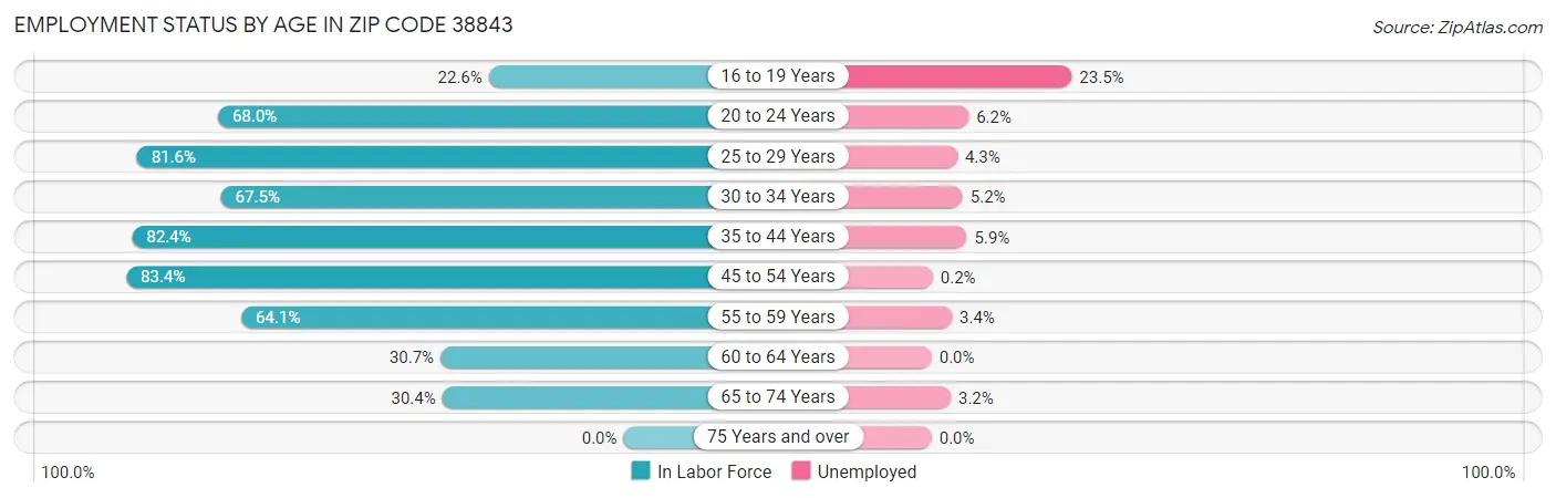 Employment Status by Age in Zip Code 38843