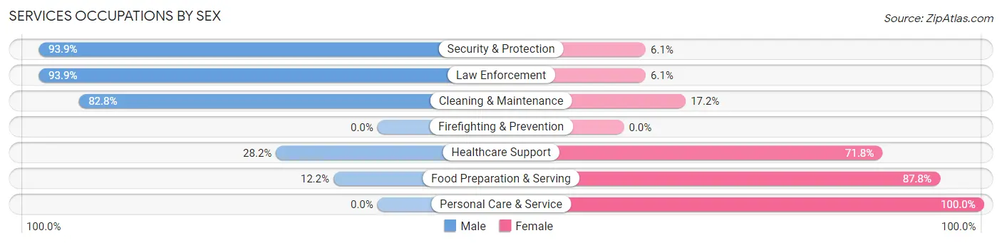 Services Occupations by Sex in Zip Code 38843