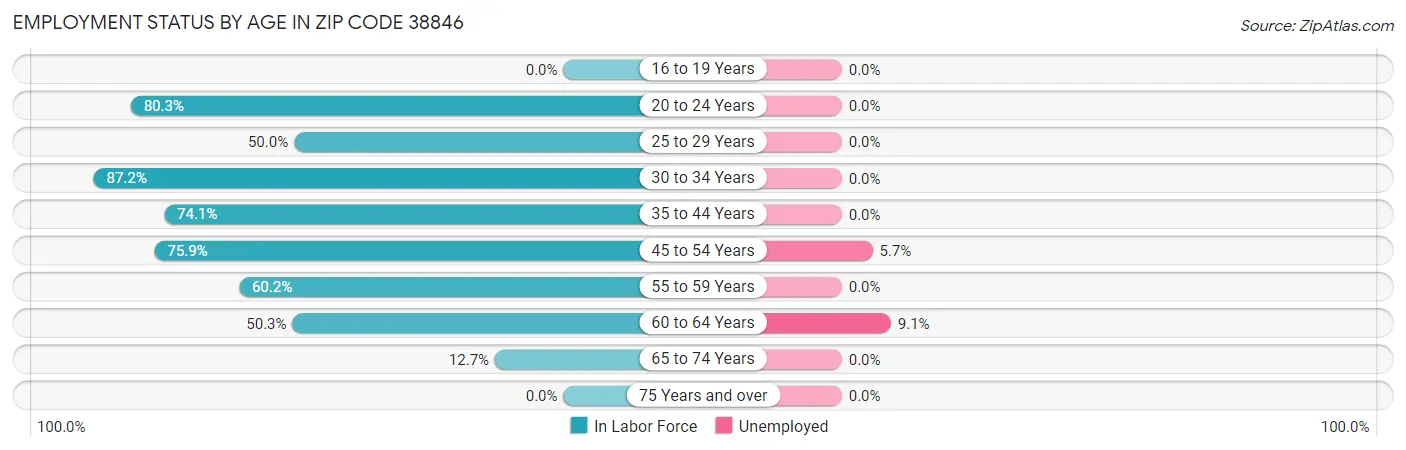 Employment Status by Age in Zip Code 38846