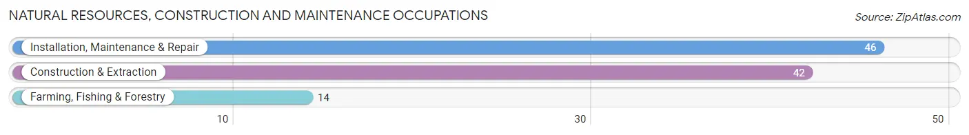 Natural Resources, Construction and Maintenance Occupations in Zip Code 38846