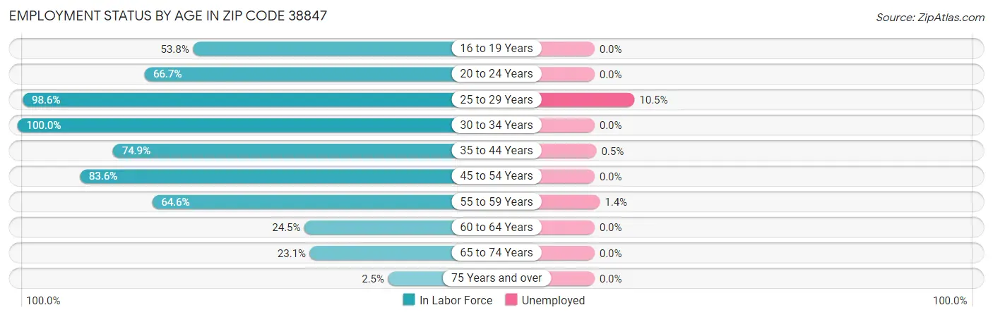 Employment Status by Age in Zip Code 38847