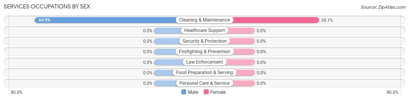 Services Occupations by Sex in Zip Code 38848