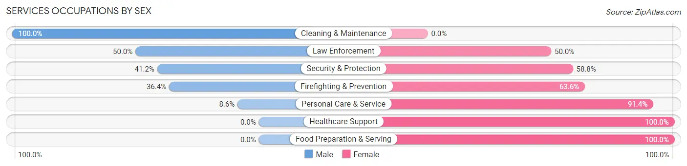 Services Occupations by Sex in Zip Code 38849
