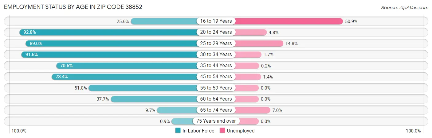 Employment Status by Age in Zip Code 38852