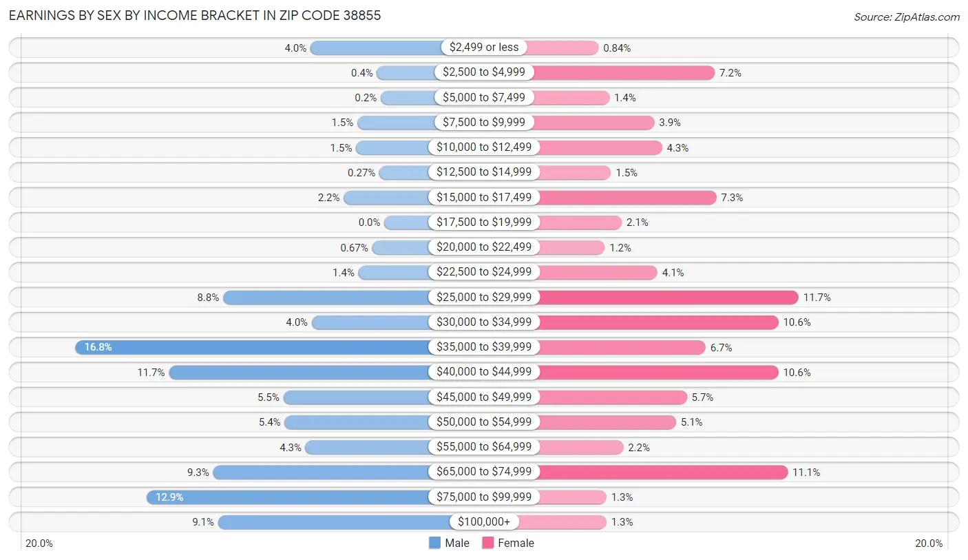 Earnings by Sex by Income Bracket in Zip Code 38855