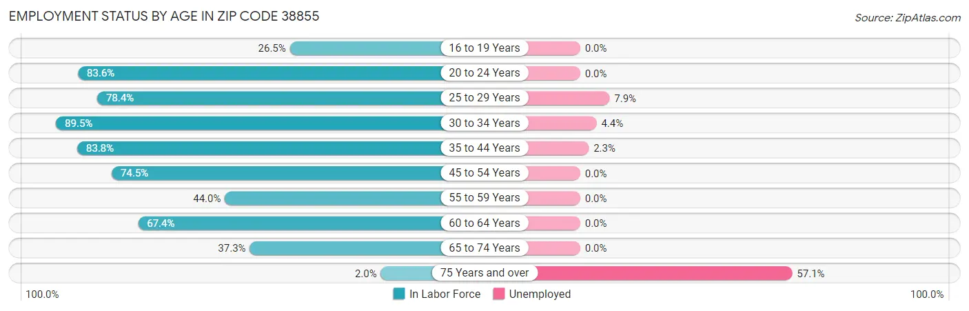 Employment Status by Age in Zip Code 38855