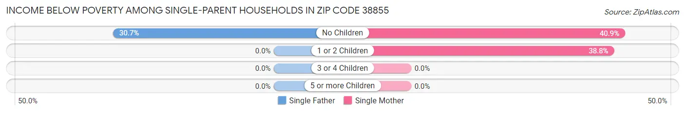Income Below Poverty Among Single-Parent Households in Zip Code 38855