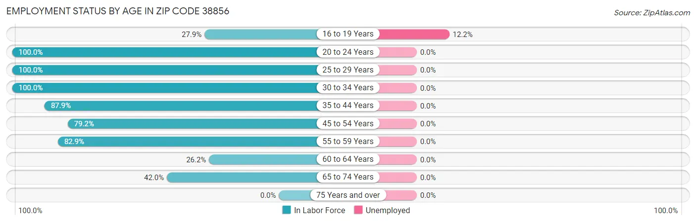 Employment Status by Age in Zip Code 38856