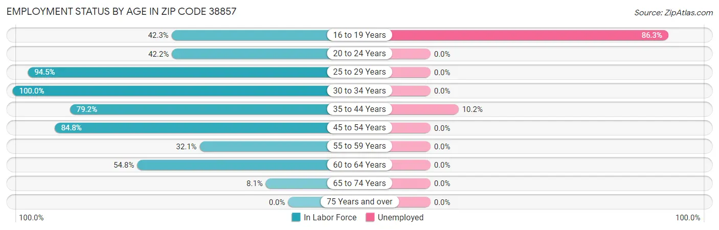 Employment Status by Age in Zip Code 38857