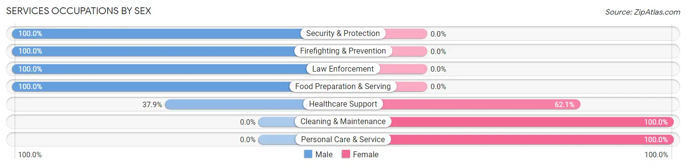 Services Occupations by Sex in Zip Code 38857