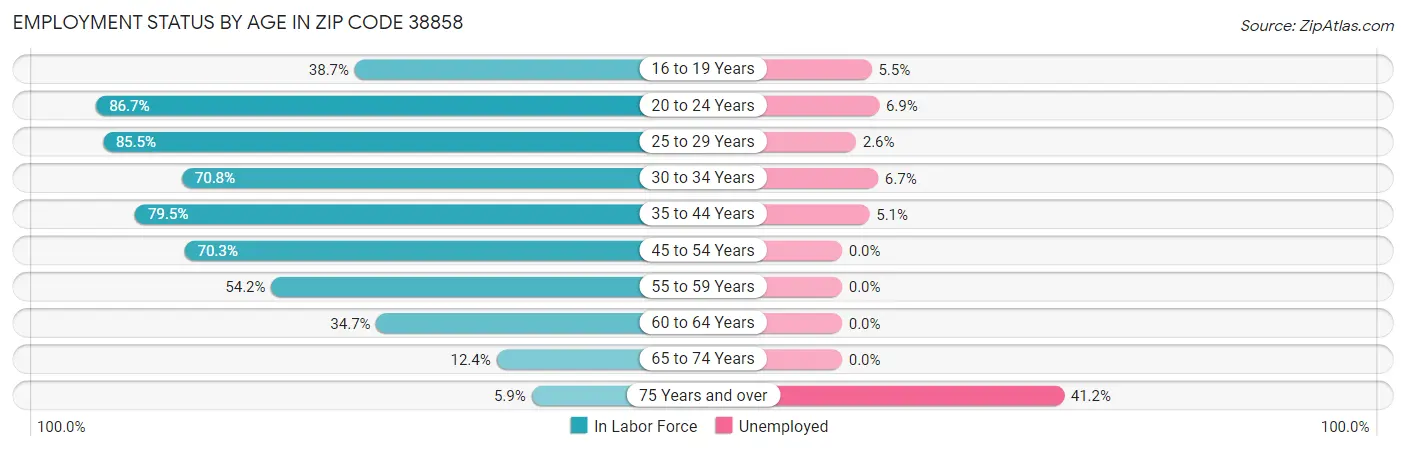 Employment Status by Age in Zip Code 38858