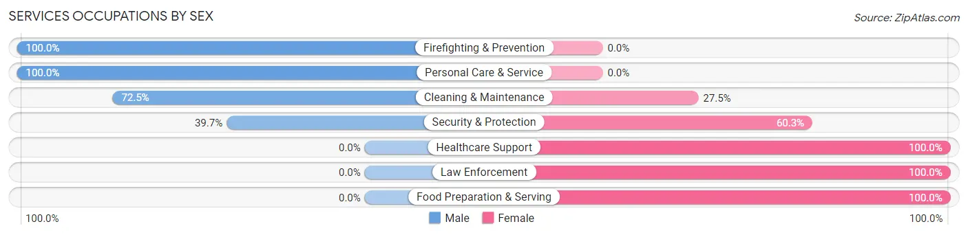 Services Occupations by Sex in Zip Code 38858