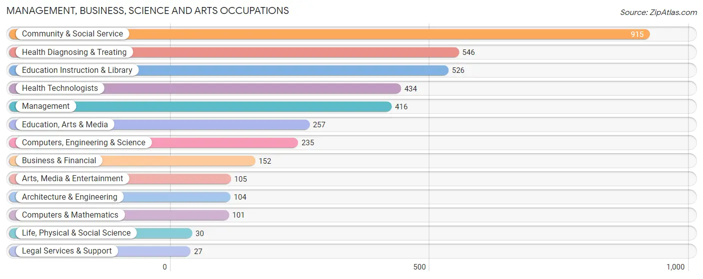 Management, Business, Science and Arts Occupations in Zip Code 38863