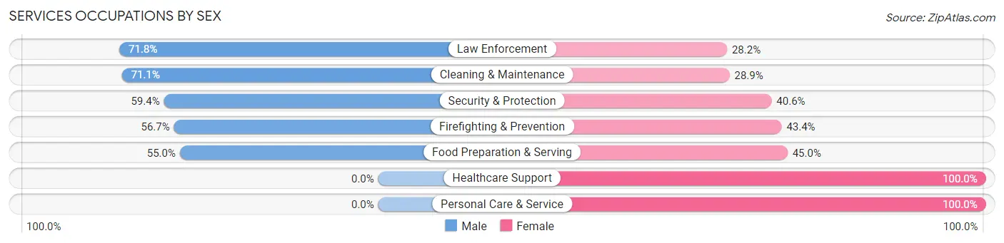 Services Occupations by Sex in Zip Code 38863