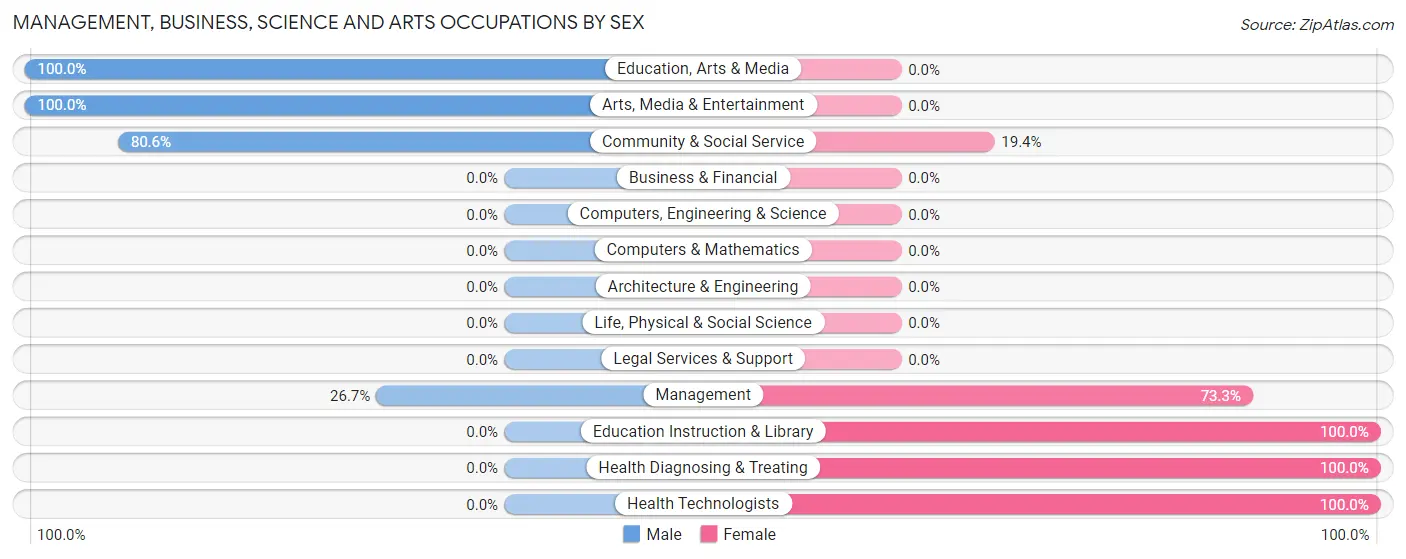 Management, Business, Science and Arts Occupations by Sex in Zip Code 38864