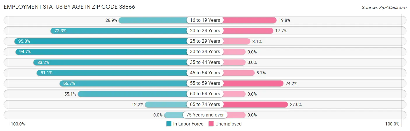 Employment Status by Age in Zip Code 38866