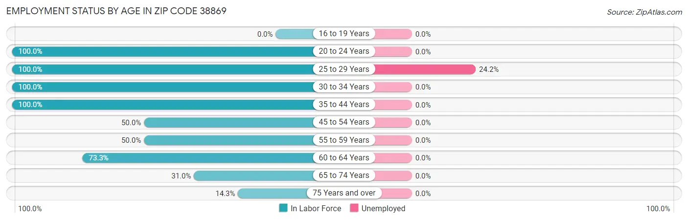 Employment Status by Age in Zip Code 38869