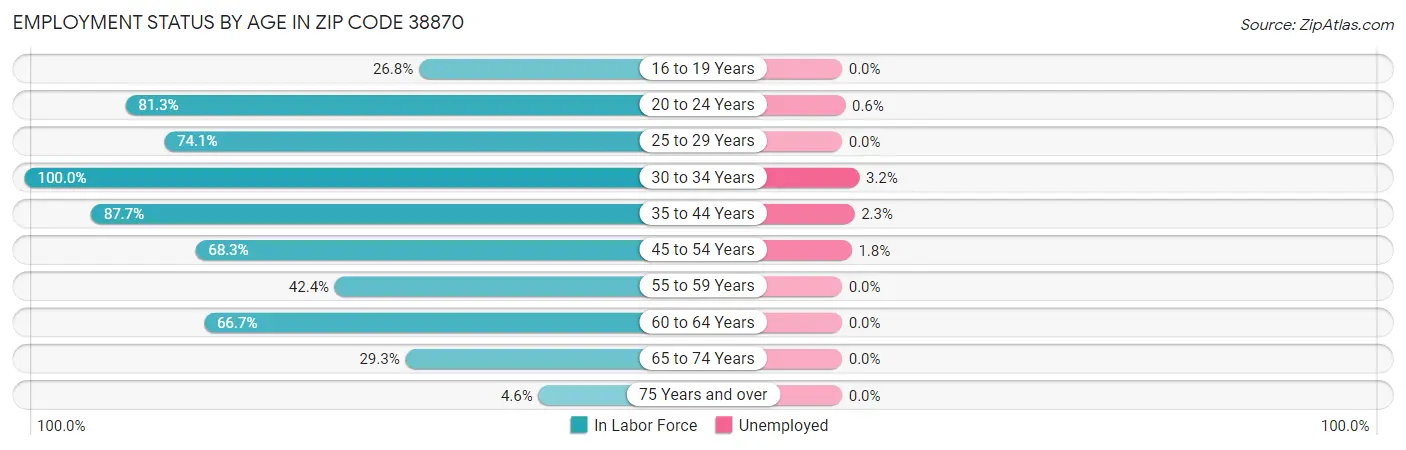 Employment Status by Age in Zip Code 38870