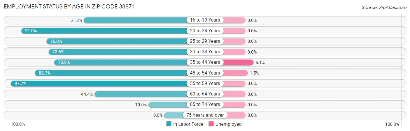 Employment Status by Age in Zip Code 38871