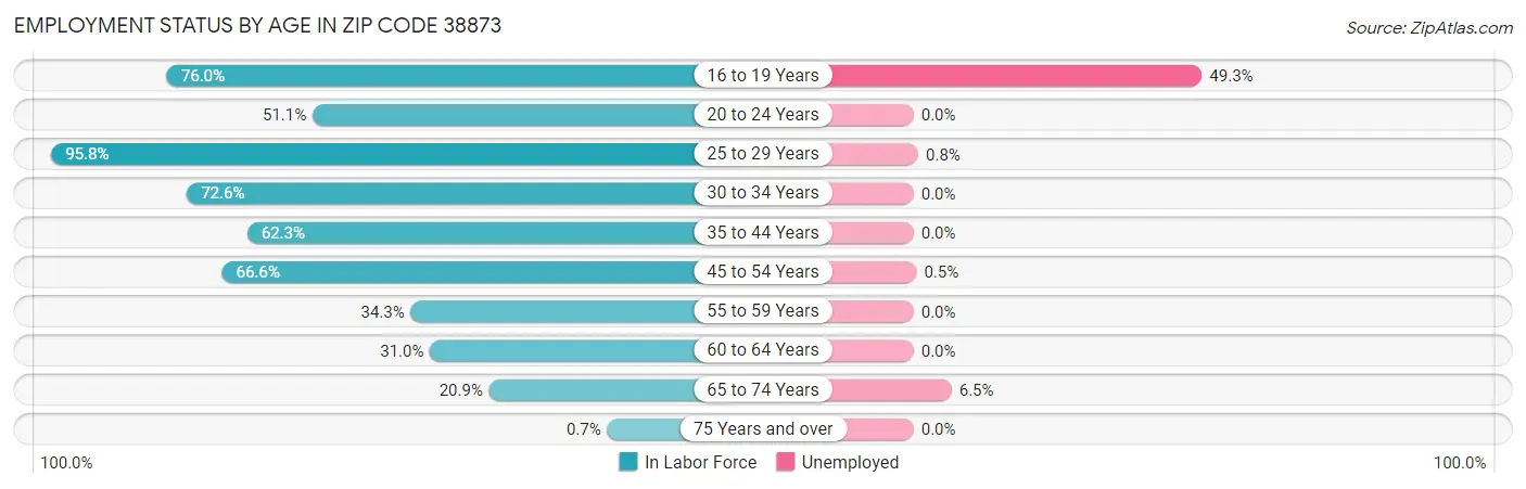 Employment Status by Age in Zip Code 38873
