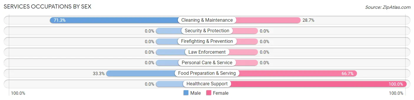 Services Occupations by Sex in Zip Code 38873