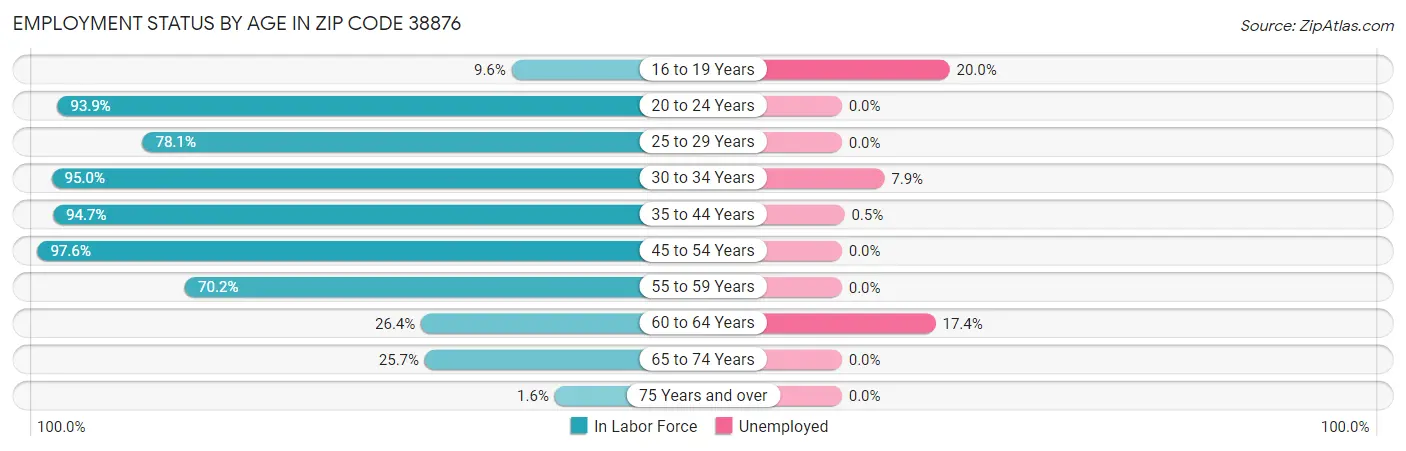 Employment Status by Age in Zip Code 38876