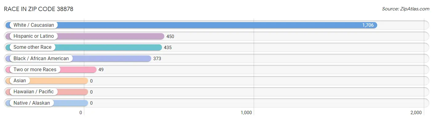 Race in Zip Code 38878