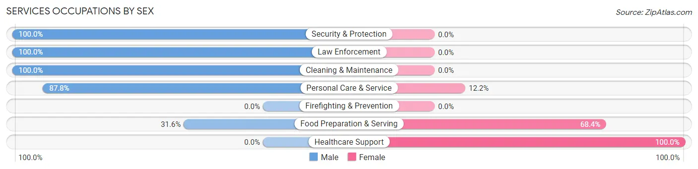 Services Occupations by Sex in Zip Code 38878