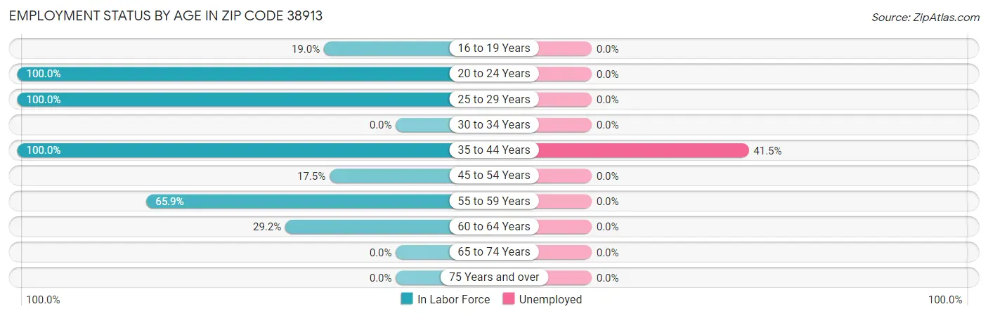 Employment Status by Age in Zip Code 38913