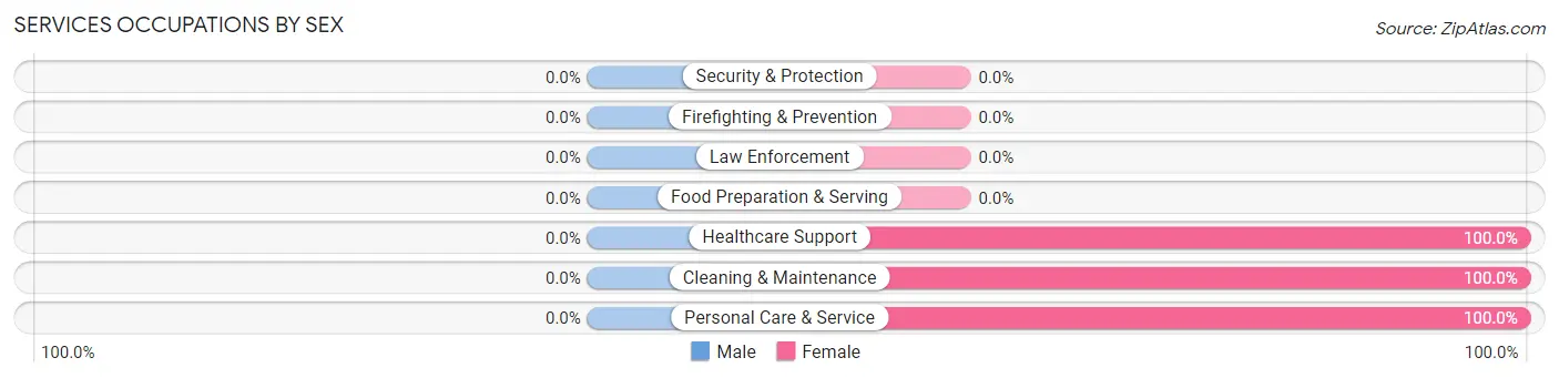 Services Occupations by Sex in Zip Code 38913