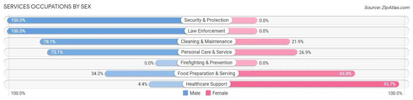 Services Occupations by Sex in Zip Code 38921