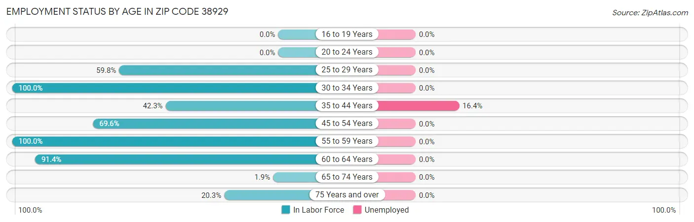 Employment Status by Age in Zip Code 38929