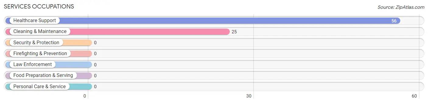 Services Occupations in Zip Code 38940