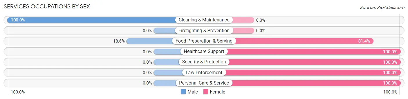 Services Occupations by Sex in Zip Code 38941