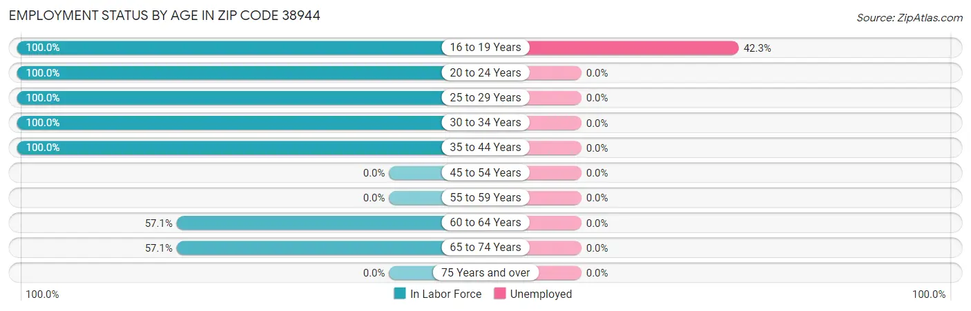 Employment Status by Age in Zip Code 38944