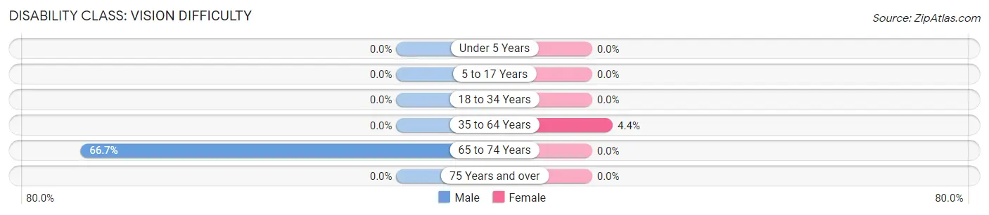 Disability in Zip Code 38946: <span>Vision Difficulty</span>