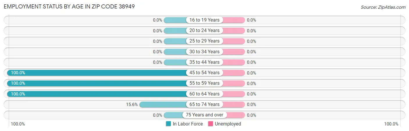 Employment Status by Age in Zip Code 38949