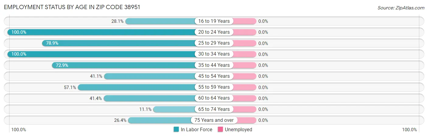 Employment Status by Age in Zip Code 38951