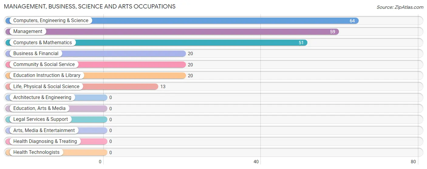 Management, Business, Science and Arts Occupations in Zip Code 39045