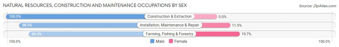 Natural Resources, Construction and Maintenance Occupations by Sex in Zip Code 39051