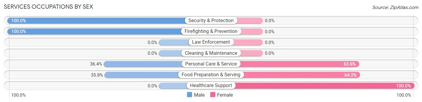 Services Occupations by Sex in Zip Code 39063