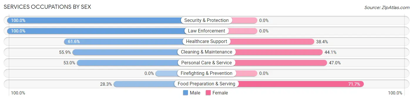 Services Occupations by Sex in Zip Code 39066