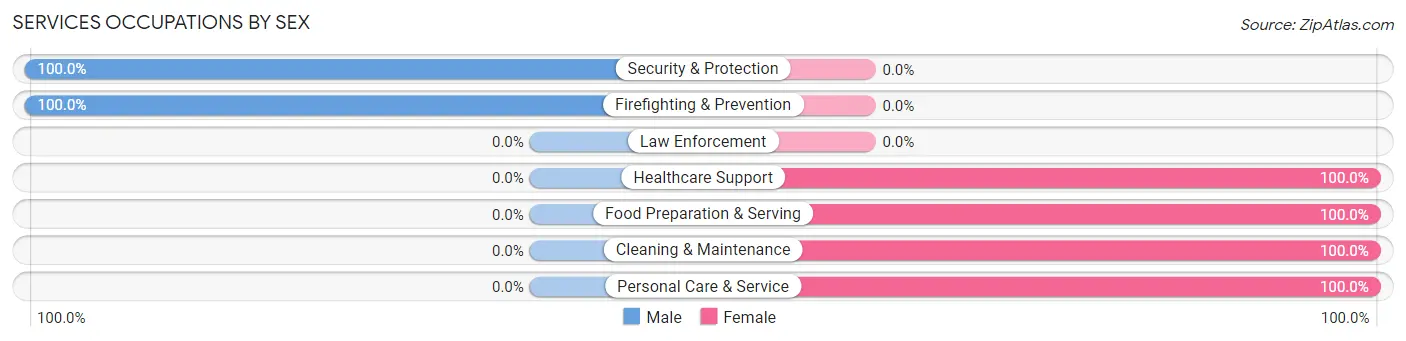 Services Occupations by Sex in Zip Code 39067