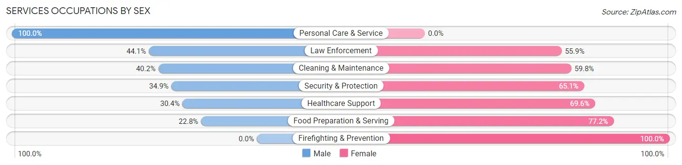 Services Occupations by Sex in Zip Code 39069