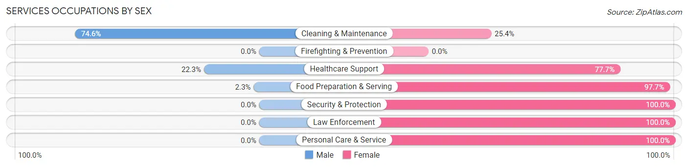 Services Occupations by Sex in Zip Code 39119