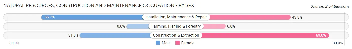 Natural Resources, Construction and Maintenance Occupations by Sex in Zip Code 39146