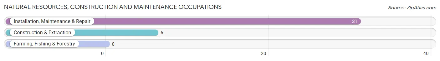 Natural Resources, Construction and Maintenance Occupations in Zip Code 39149