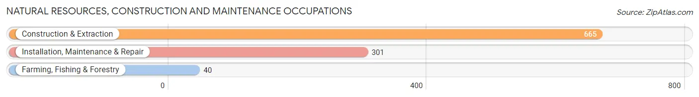 Natural Resources, Construction and Maintenance Occupations in Zip Code 39157