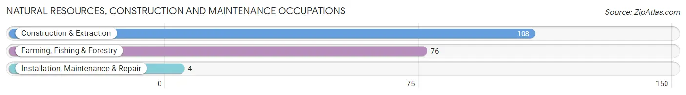 Natural Resources, Construction and Maintenance Occupations in Zip Code 39159