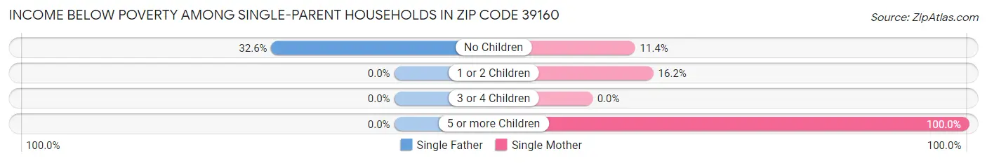 Income Below Poverty Among Single-Parent Households in Zip Code 39160